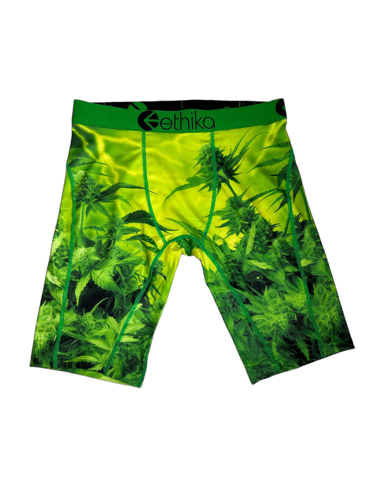 Bóxer “Ethika”